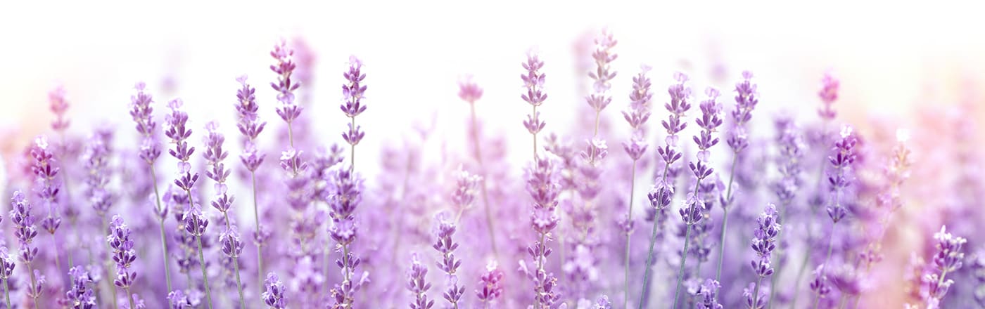 ゲイに身体売れば稼げるのにしなくてよいの?援助交際できるパパ活サイト紹介